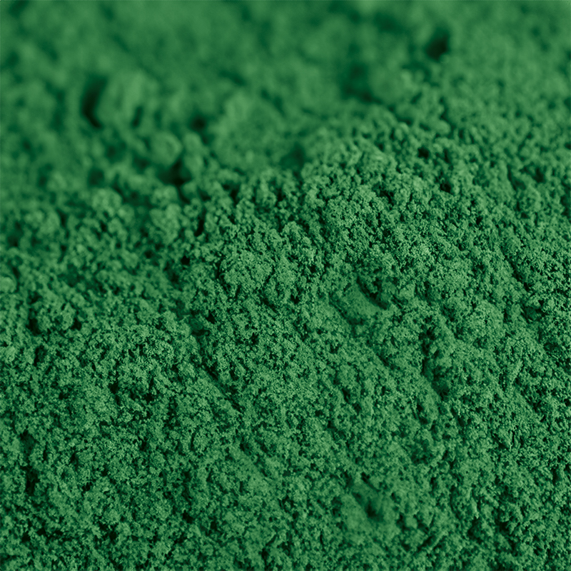 Rapidolehm Pigment Grün 100 g